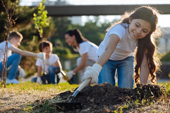 garden project