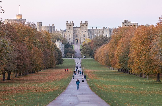 Knighthoods cover image