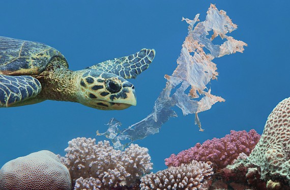 A turtle swims through the ocean as plastic floats down around them.