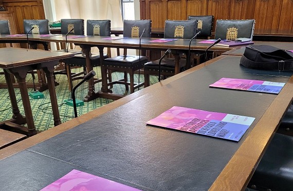 VotesforSchools data reports on the tables at parliament